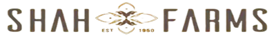 348252376_131305443286772_1744552572125865606_n removebg preview 2 e1724535873342