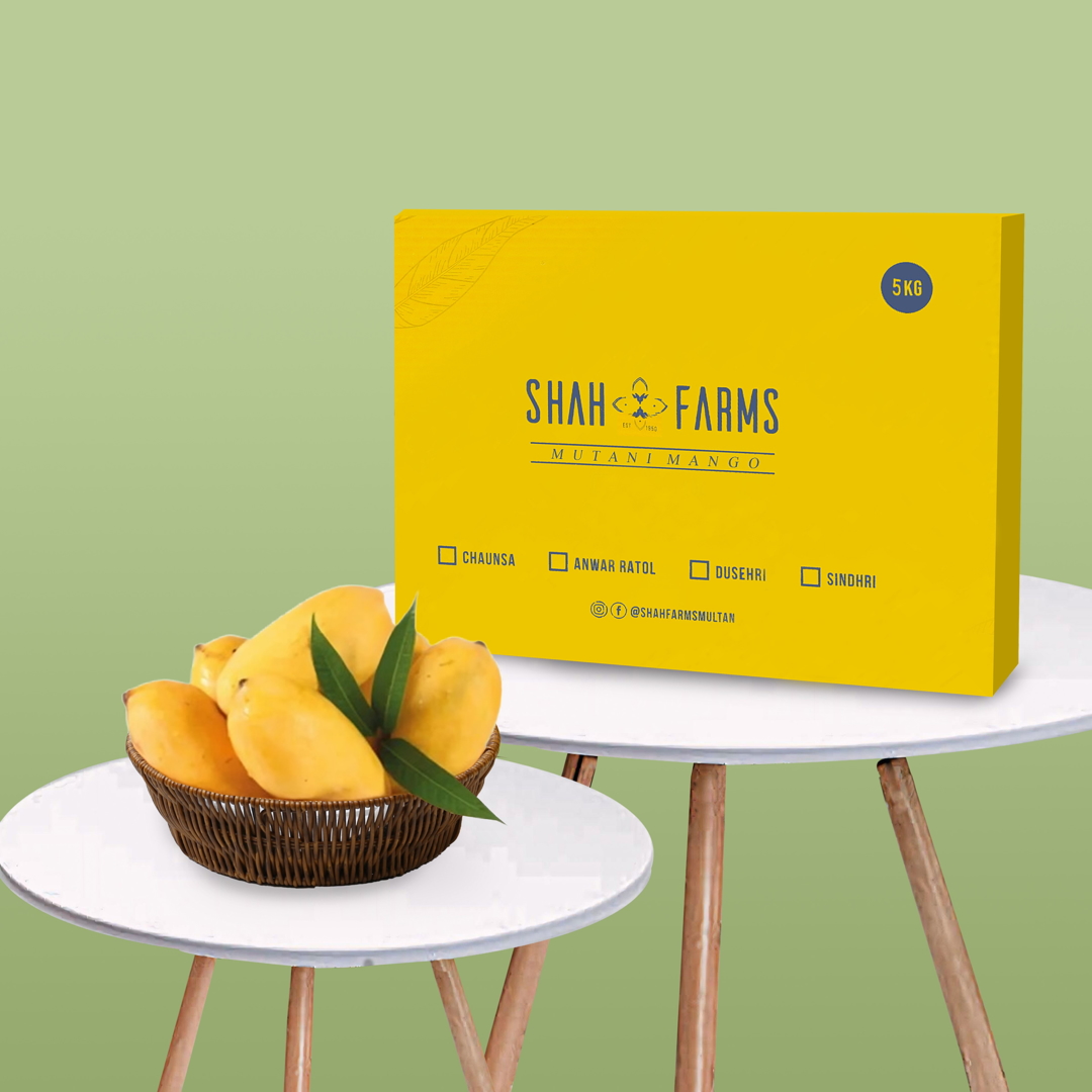 Sindhri Mango